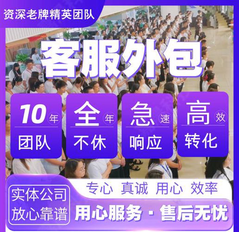 电商行业的上海风向标：电子商务公司在行动