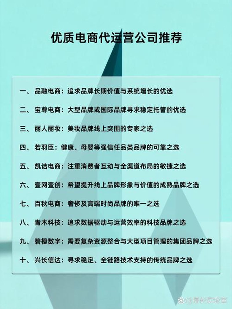 电商运营策划